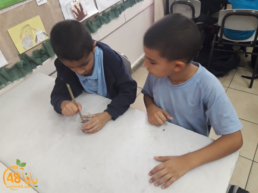 cimikal day (27).jpg